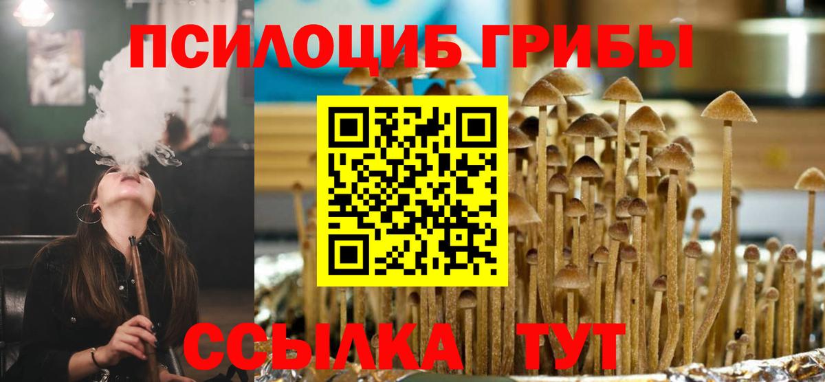 Галлюциногенные грибы GOLDEN TEACHER  Вход с VPN  Ейск 